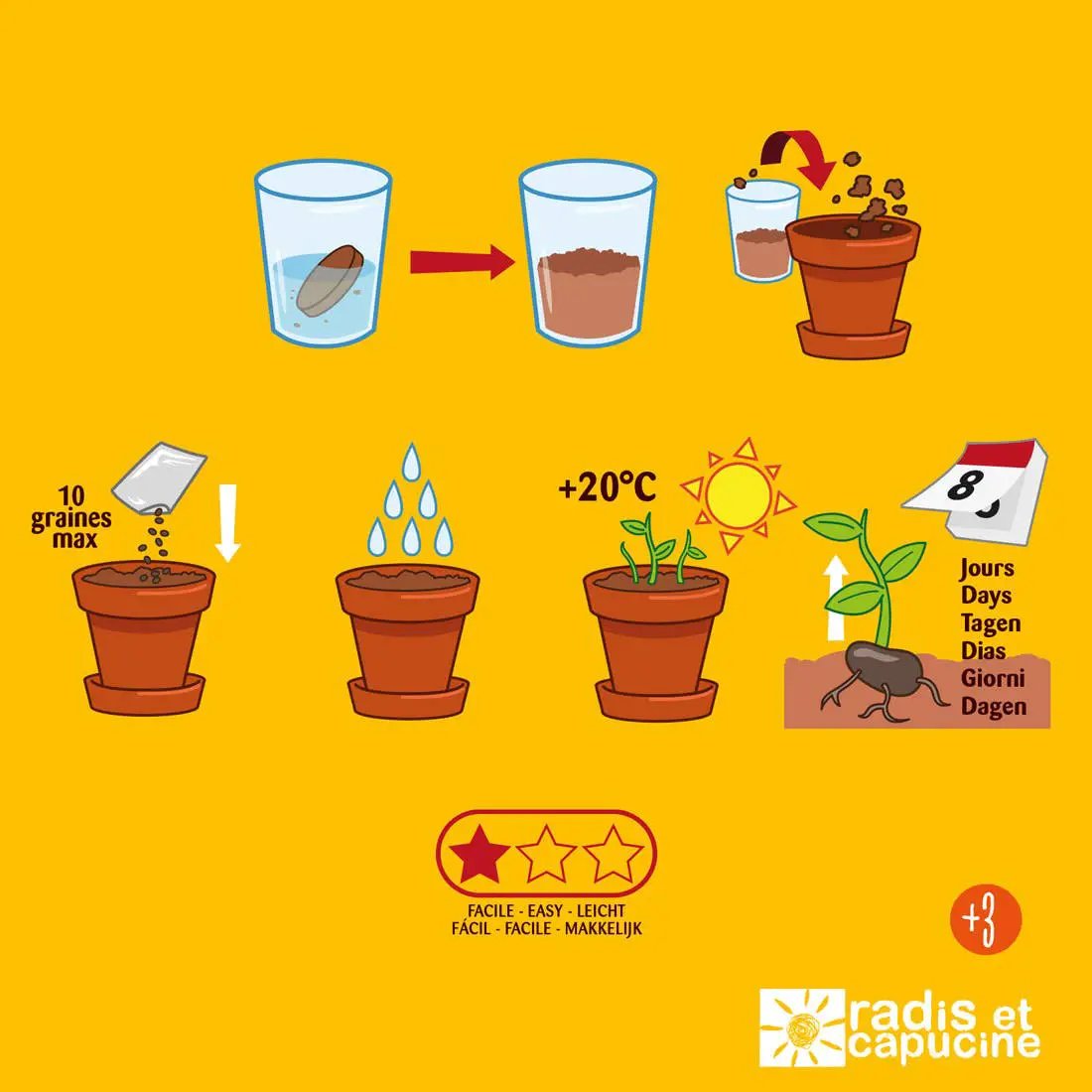 Plantes gourmandes - Tomates cerises bio - Kit créatif de jardinage Enfant by Radis Et Capucine
