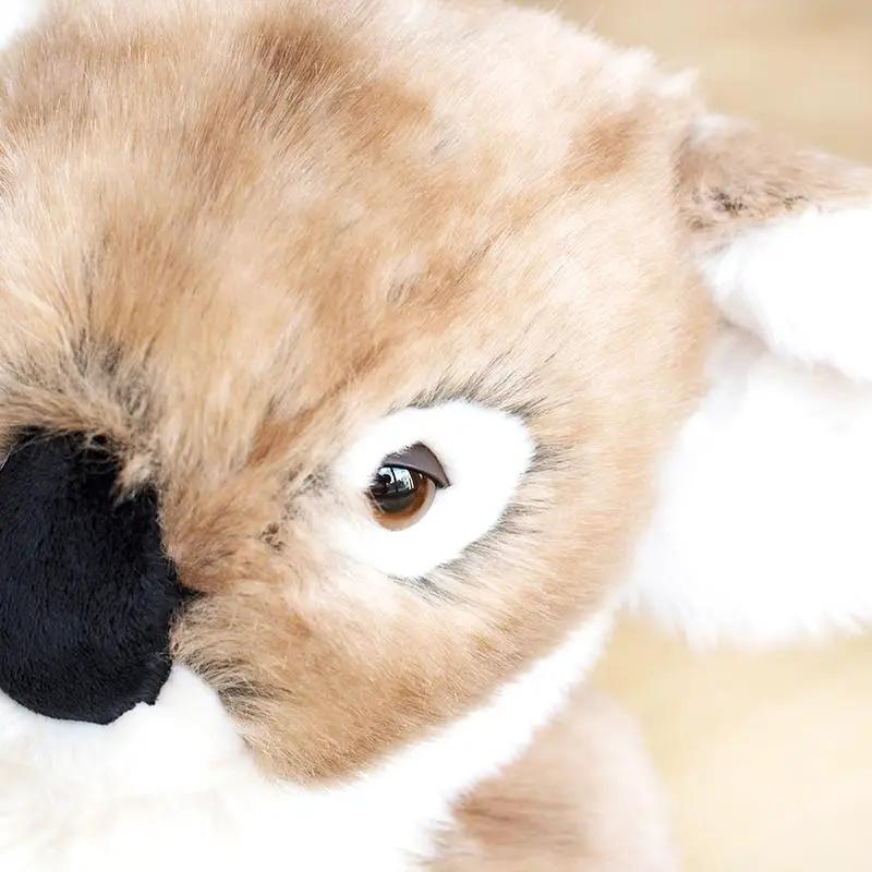 Ma peluche Koala Félicien - La Pelucherie by LA PELUCHERIE