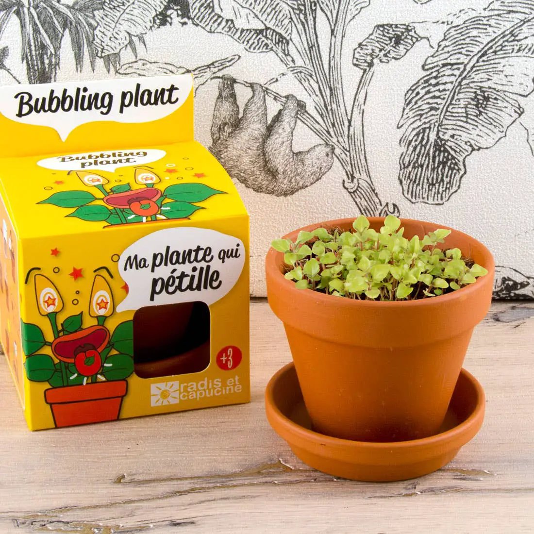 La plante qui pétille - Kit créatif de jardinage Enfant by Radis Et Capucine