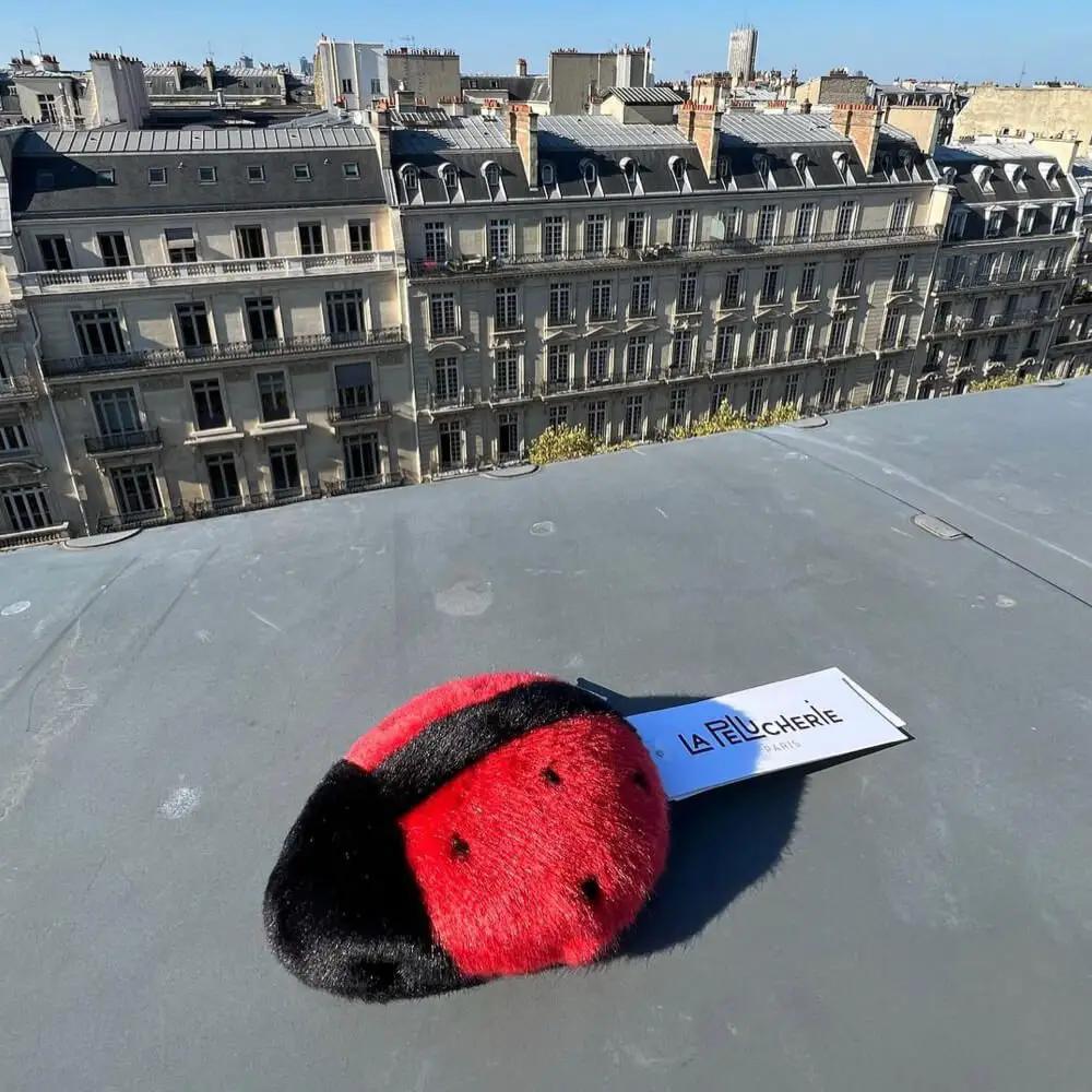 Ma peluche Coccinelle Lily - La Pelucherie by LA PELUCHERIE