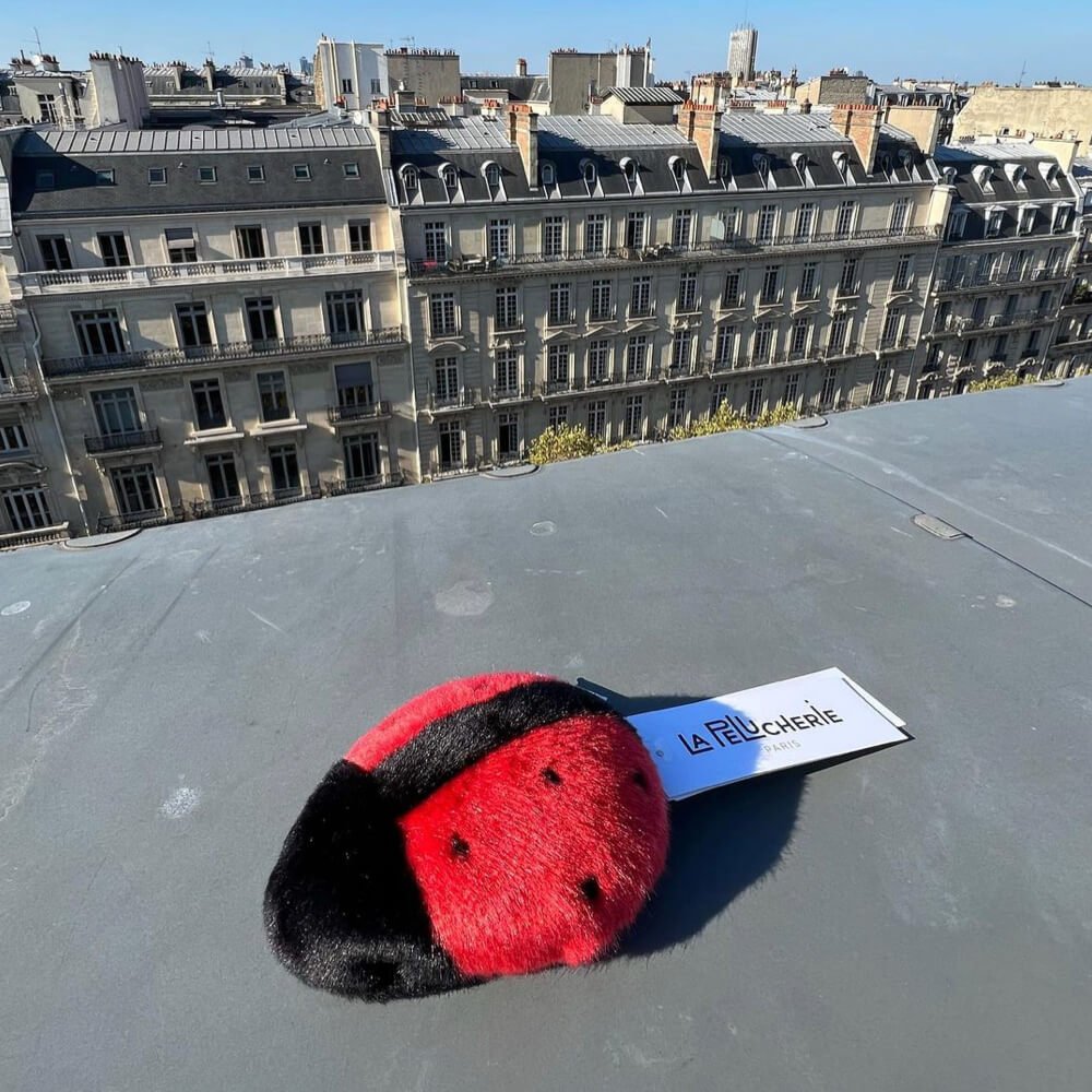 Ma peluche Coccinelle Lily - La Pelucherie - myplayground