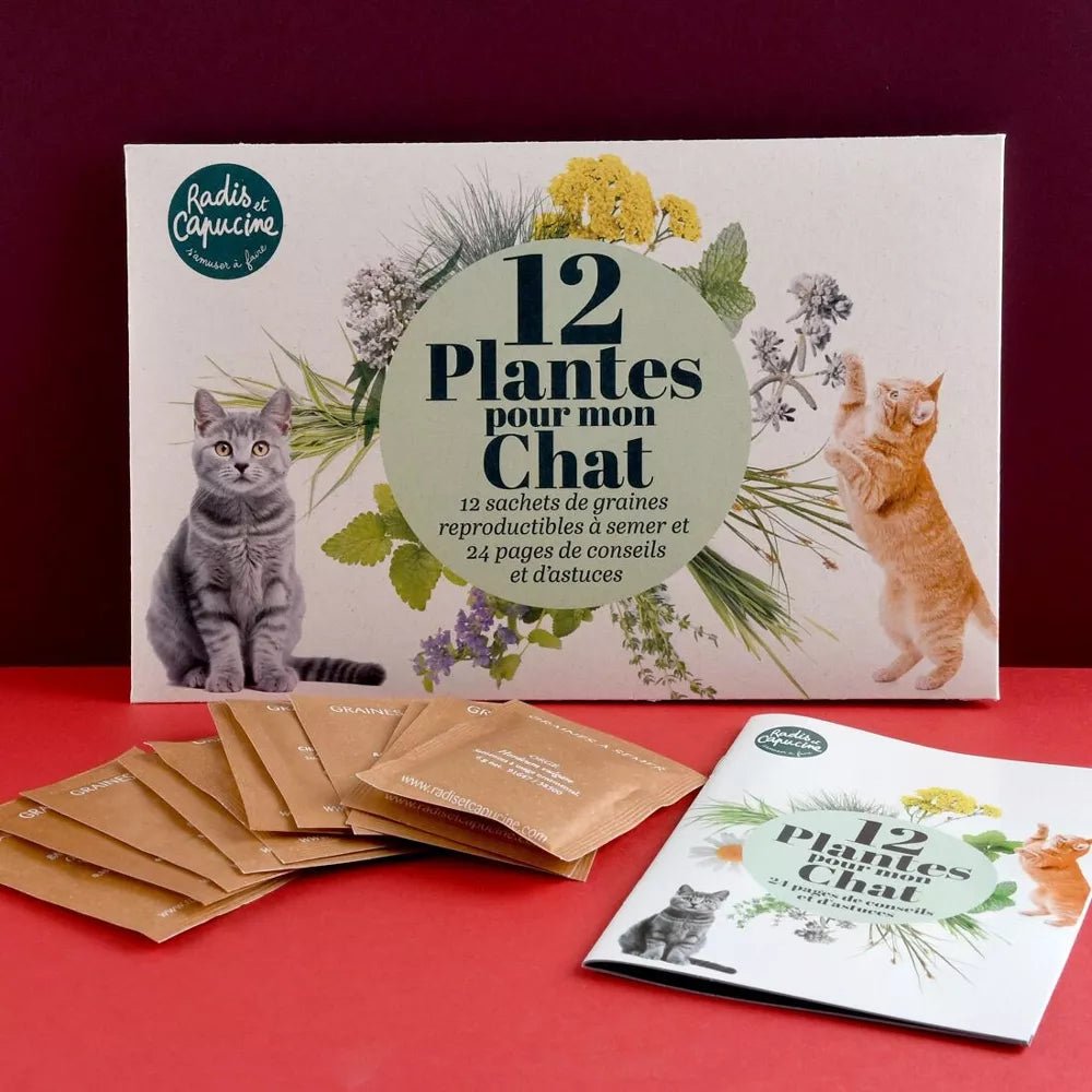 Enveloppe de 12 sachets - Pour mon chat - Radis et Capucine - myplayground
