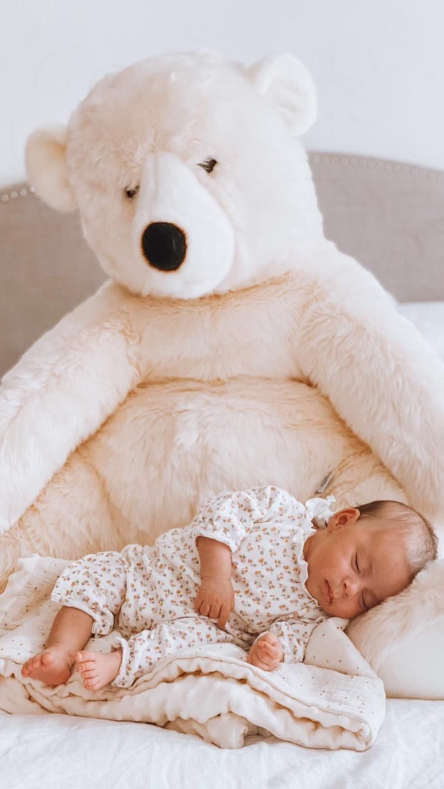 Ma peluche Ours Jules - La Pelucherie - myplayground