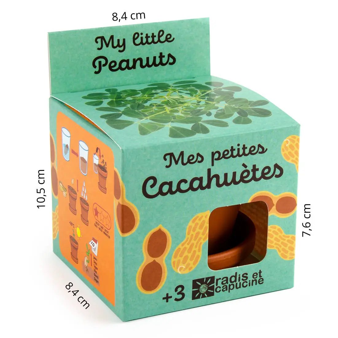 Plantes gourmandes - Cacahuète - Kit créatif de jardinage Enfant by Radis Et Capucine