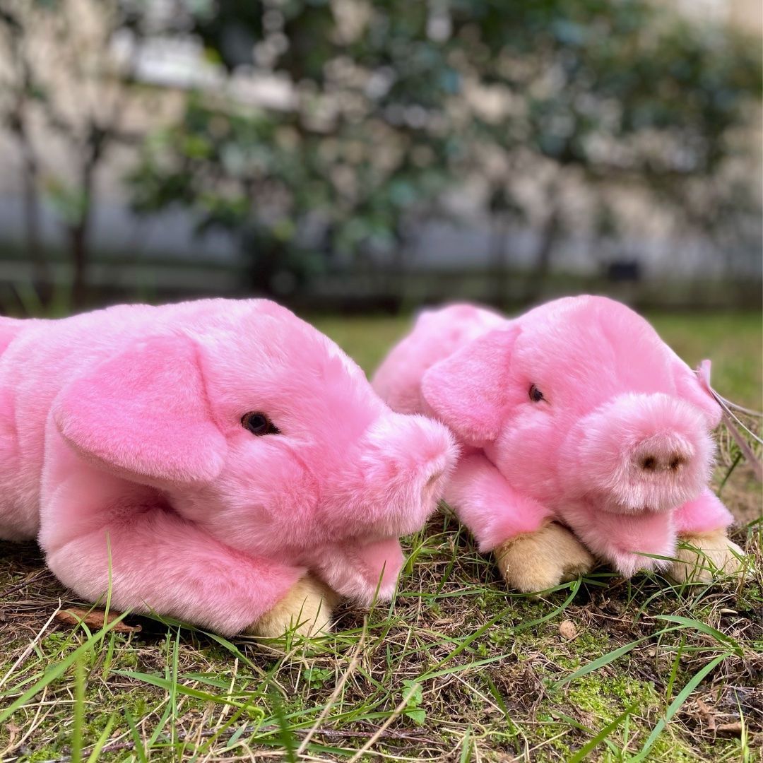 Ma peluche Cochon Georges - La Pelucherie - myplayground