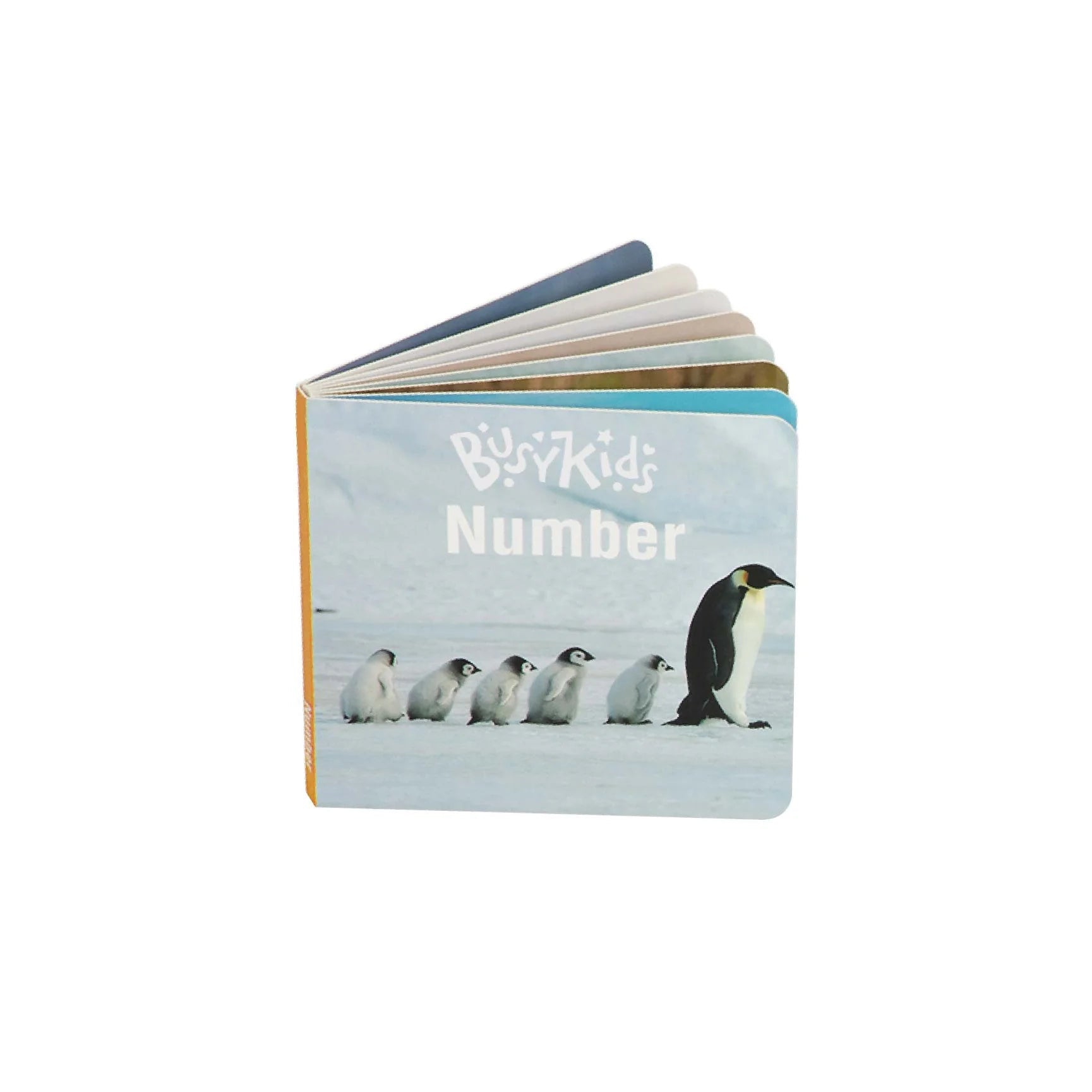 Coffret de Jeu Montessori pour les enfants - 24 à 36 mois - BusyKids by BusyKids