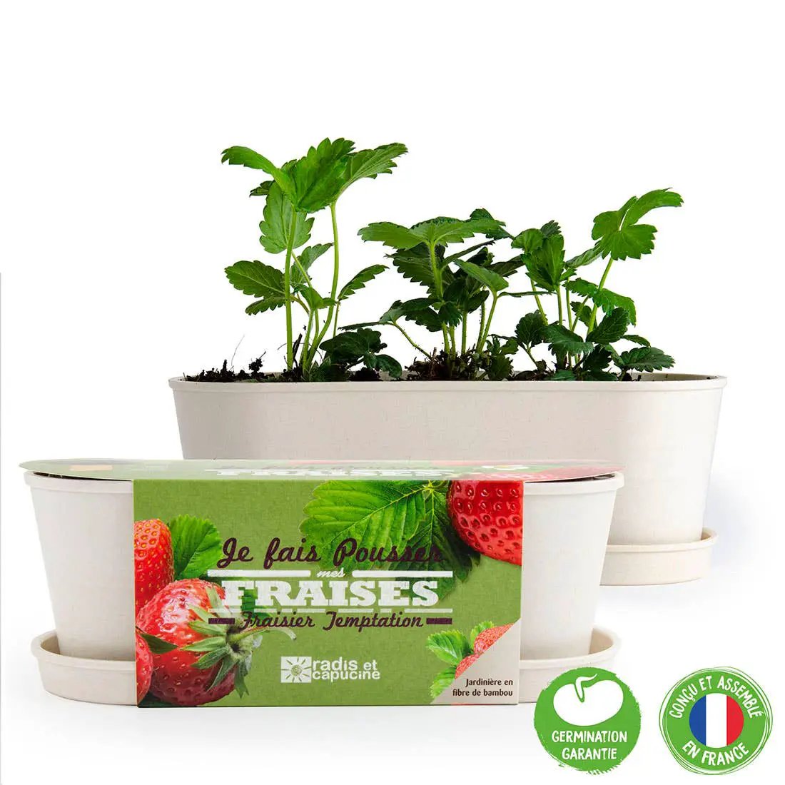 Jardinière Bambou - Fraisier - Kit créatif de jardinage Enfant by Radis Et Capucine