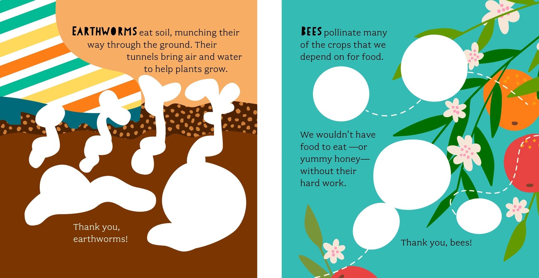 Bathtub Genius : Découvrons les Insectes - Bushel & Peck Books - myplayground