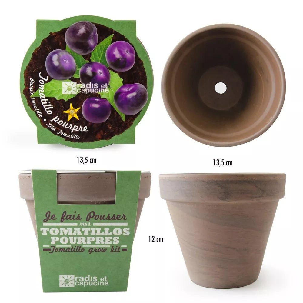 Pot Terre cuite Basalte 13cm Tomates Violettes - Radis et Capucine - myplayground