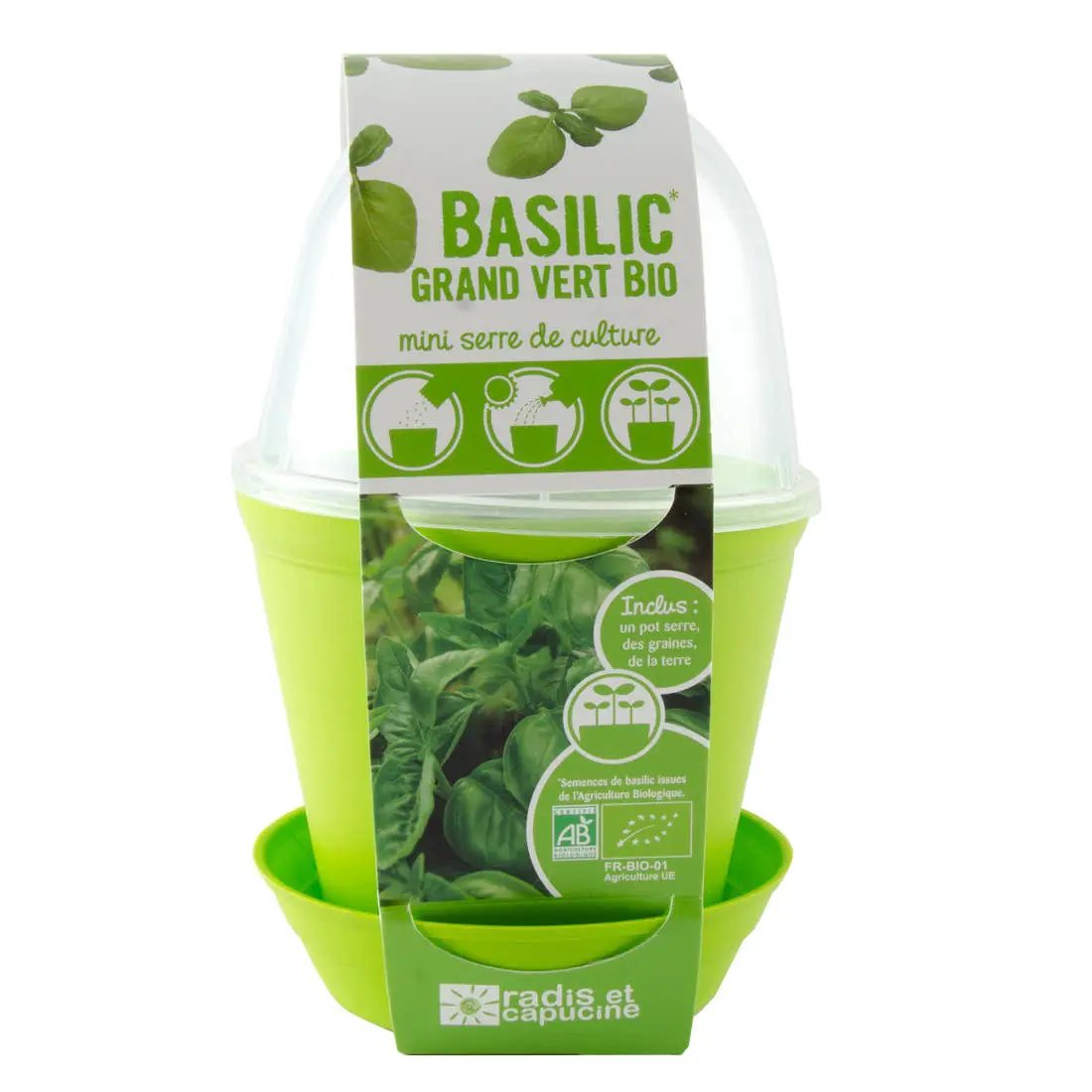 Pot Cloche - Basilic bio - Kit créatif de jardinage Enfant by Radis Et Capucine