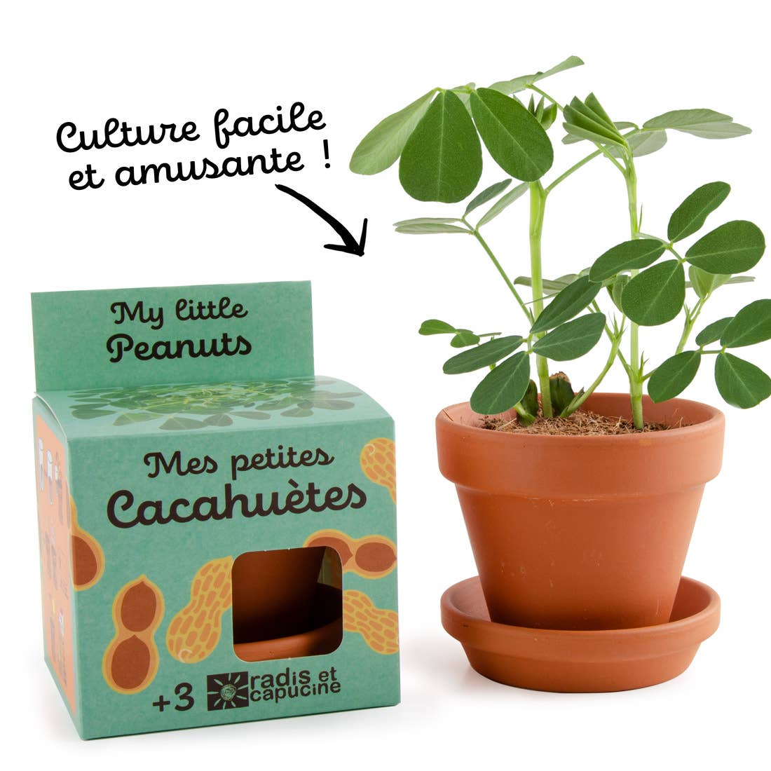 Plantes gourmandes - Cacahuète - Kit créatif de jardinage Enfant by Radis Et Capucine