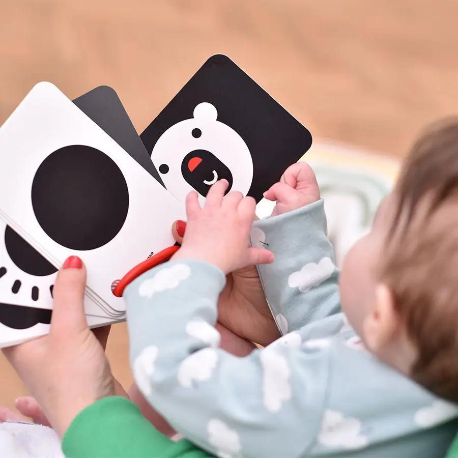 Cartes Flash à Contraste Élevé (0 mois +) - Sur Anneau - Banana Panda by Banana Panda