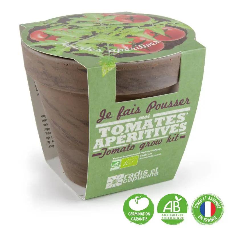 Pot Terre cuite Basalte - Tomate cerise bio - Kit créatif de jardinage Enfant by Radis Et Capucine