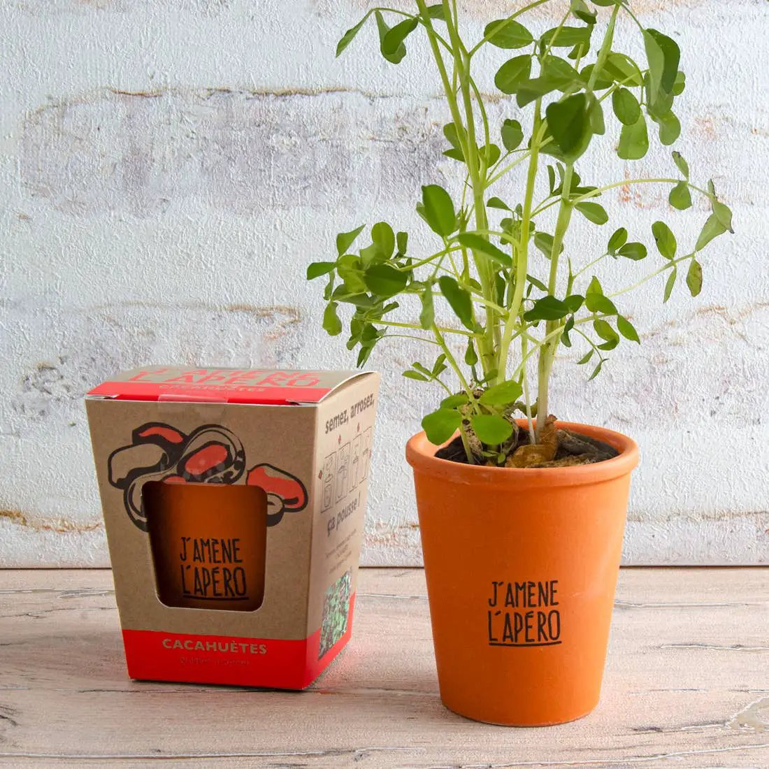 Kit message J'amène L'apéro - Cacahuètes - Kit créatif de jardinage by Radis Et Capucine
