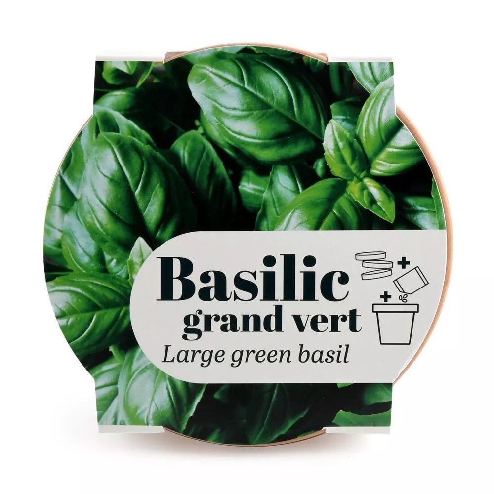 Pot Terre cuite Antique - Basilic grand vert Bio - Radis et Capucine - myplayground