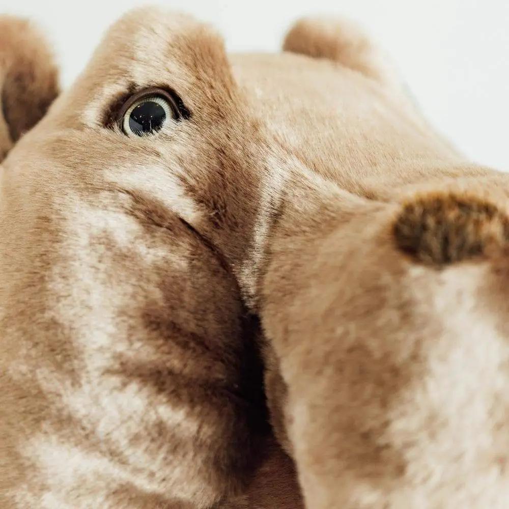 Ma peluche Hippopotame Edgar - La Pelucherie by La Pelucherie