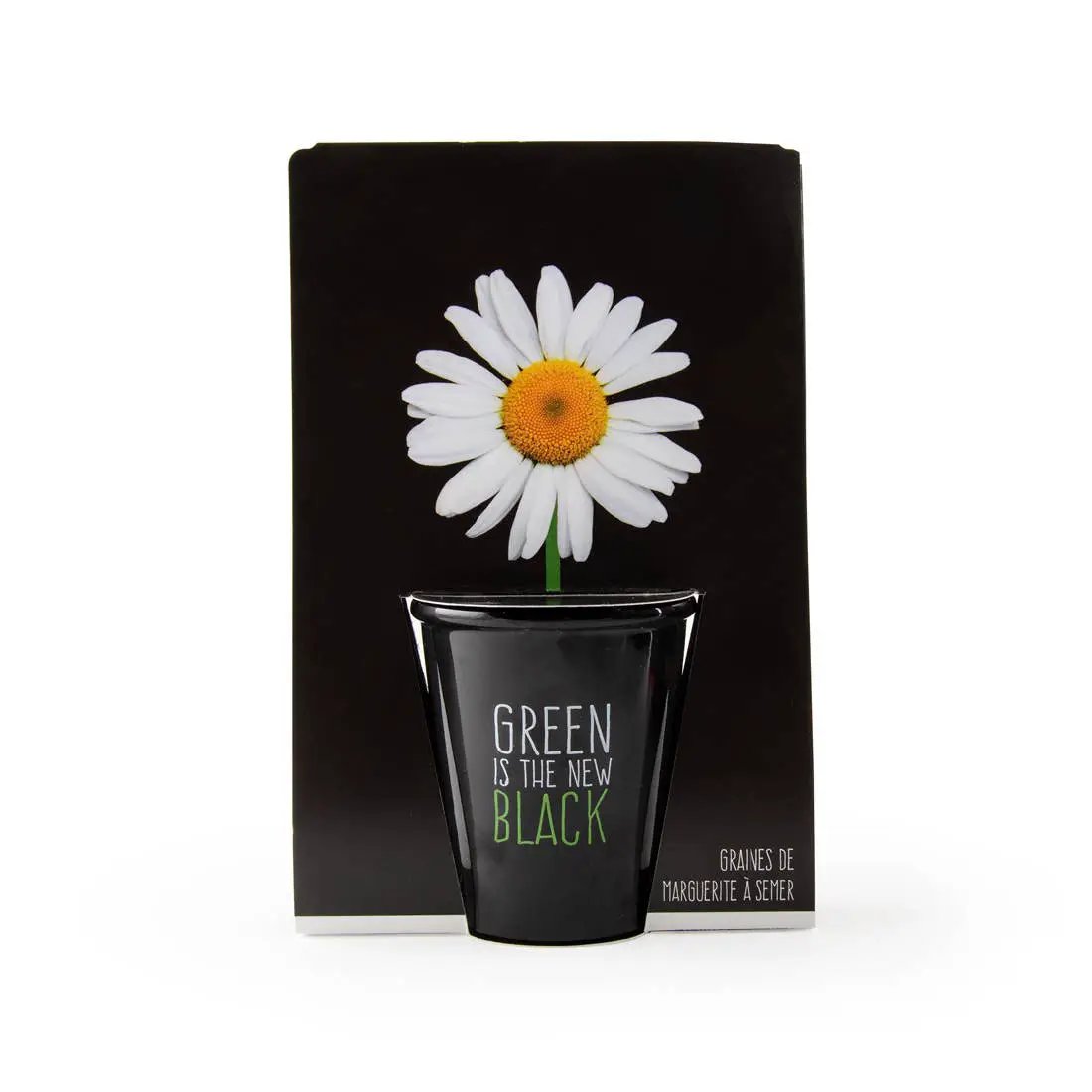 Gamme black - Pâquerette - Kit créatif de jardinage Enfant by Radis Et Capucine