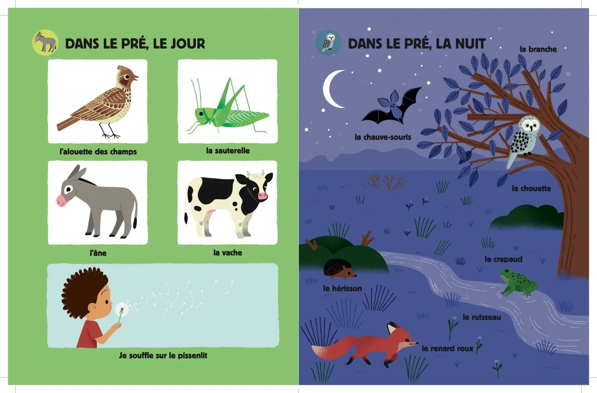 GRAND IMAGIER SONORE LA NATURE by Selection Livres jeunesse poppik