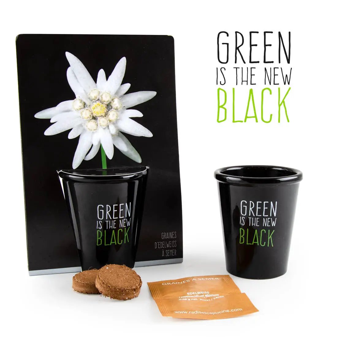 Gamme black - Edelweiss - Kit créatif de jardinage Enfant by Radis Et Capucine