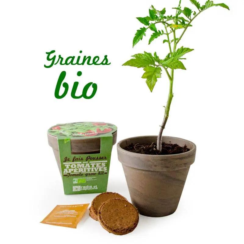 Pot Terre cuite Basalte - Tomate cerise bio - Kit créatif de jardinage Enfant by Radis Et Capucine