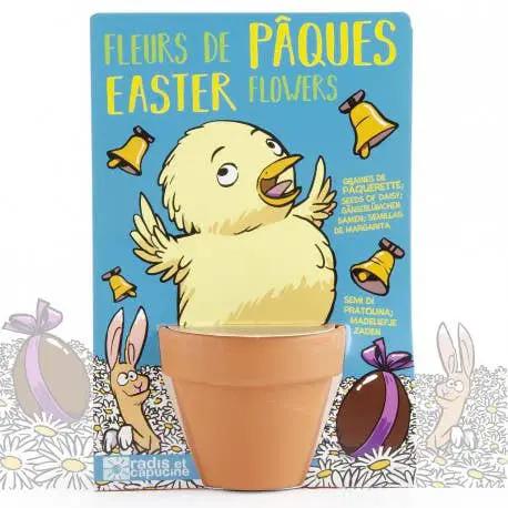 Carte nature Poussin - Pâquerettes à semer - Kit créatif de jardinage Enfant by Radis Et Capucine