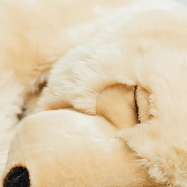 Ma peluche Ours Lucien - La Pelucherie - myplayground