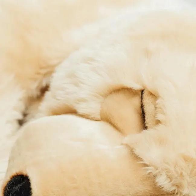Ma peluche Ours Lucien - La Pelucherie by La Pelucherie