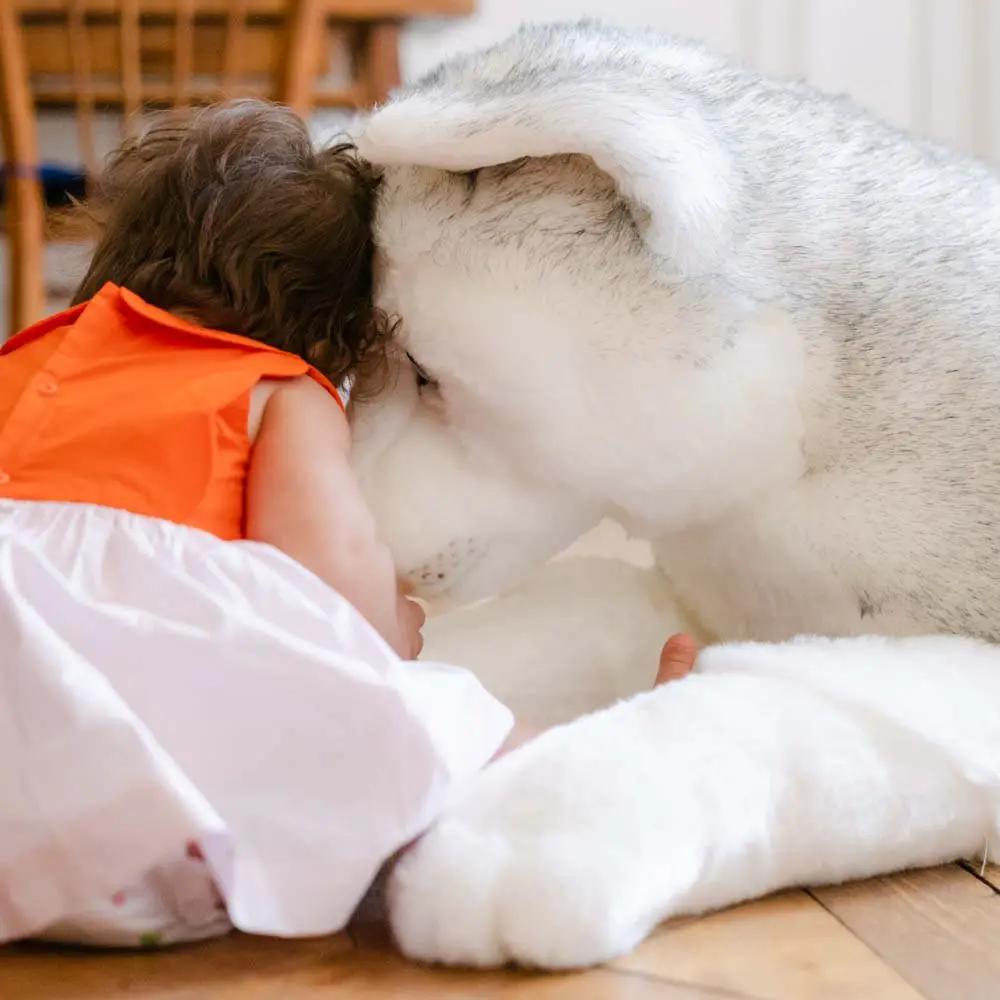 Ma peluche Husky Léonard - La Pelucherie by LA PELUCHERIE