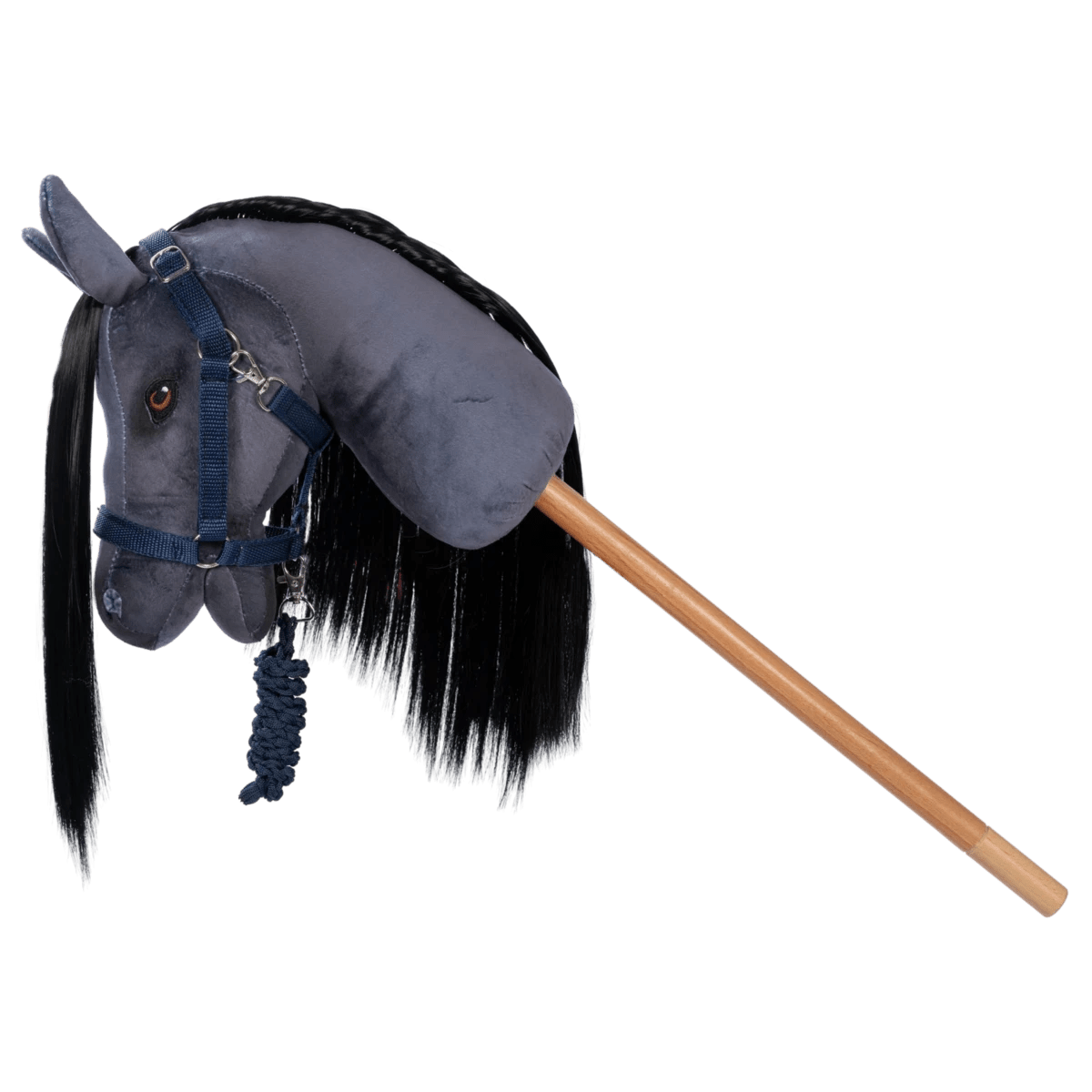 Licol et longe bleu - myplayground