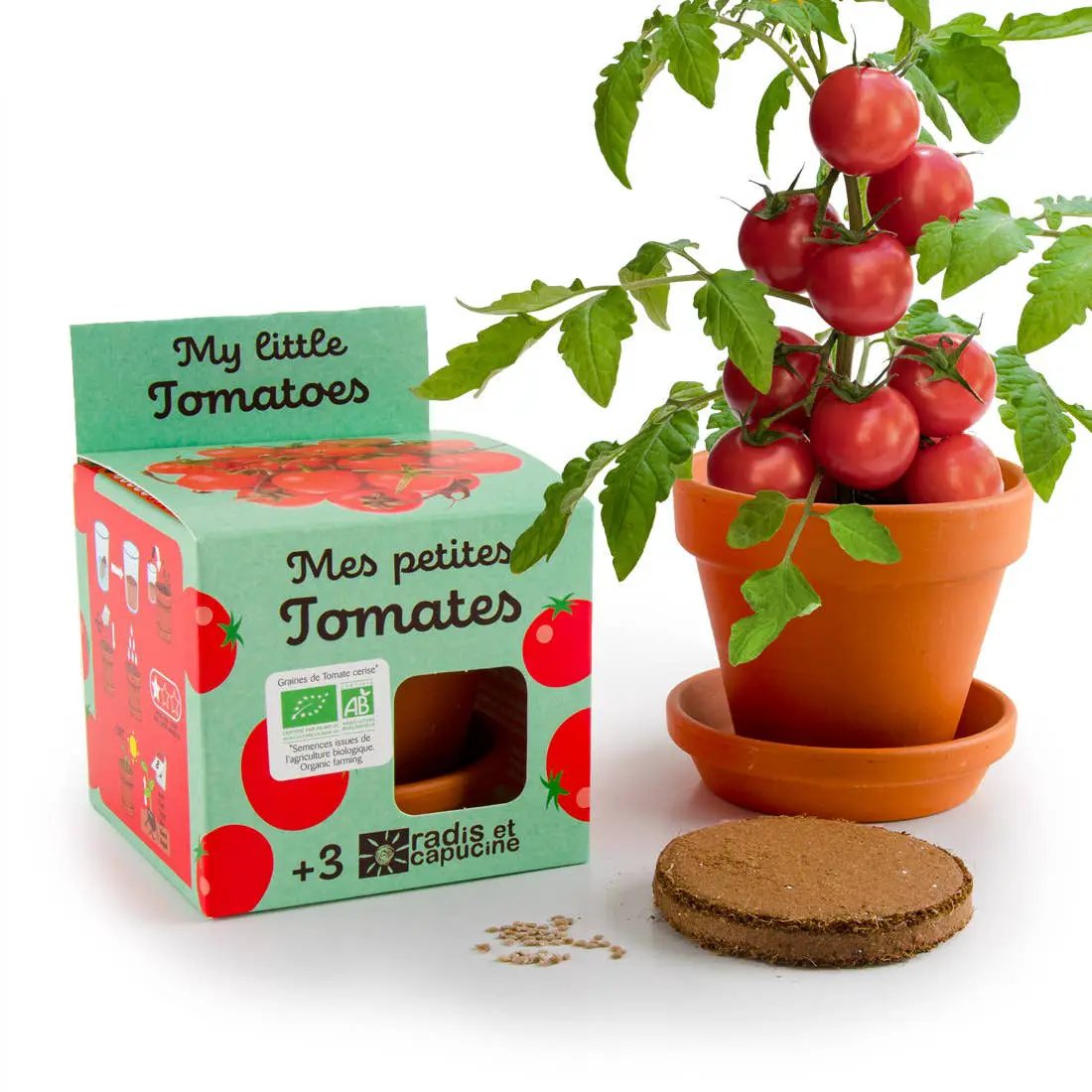 Plantes gourmandes - Tomates cerises bio - Kit créatif de jardinage Enfant by Radis Et Capucine