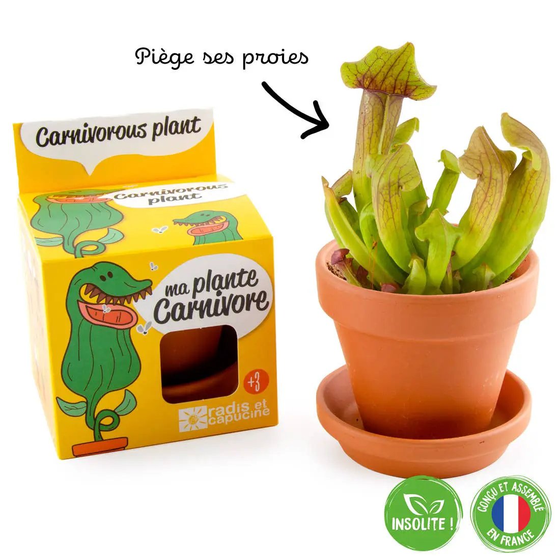 La plante carnivore - Kit créatif de jardinage Enfant by Radis Et Capucine