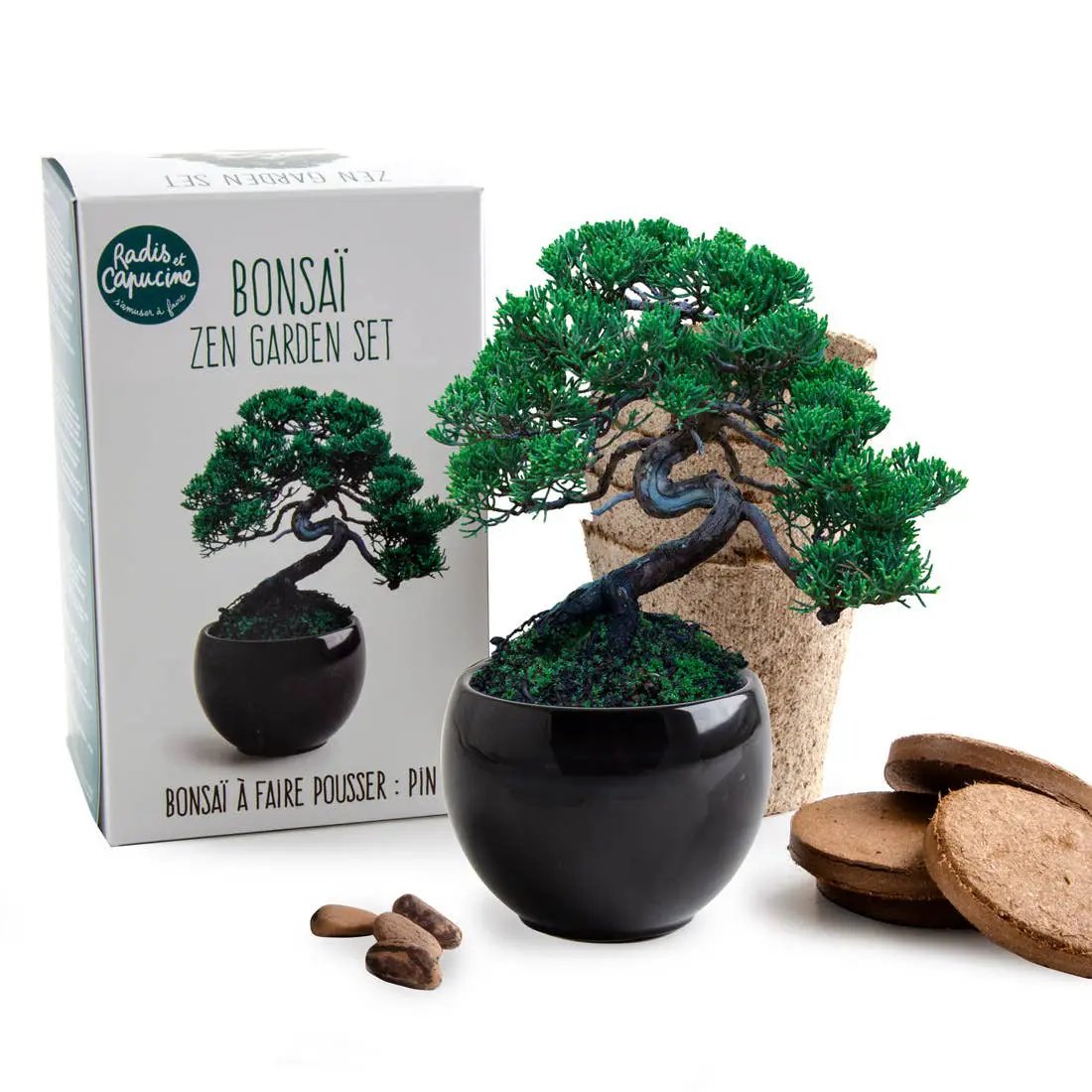 NOUVEAUTE - Kit Bonsaï à faire pousser - Kit créatif de jardinage Enfant by Radis Et Capucine