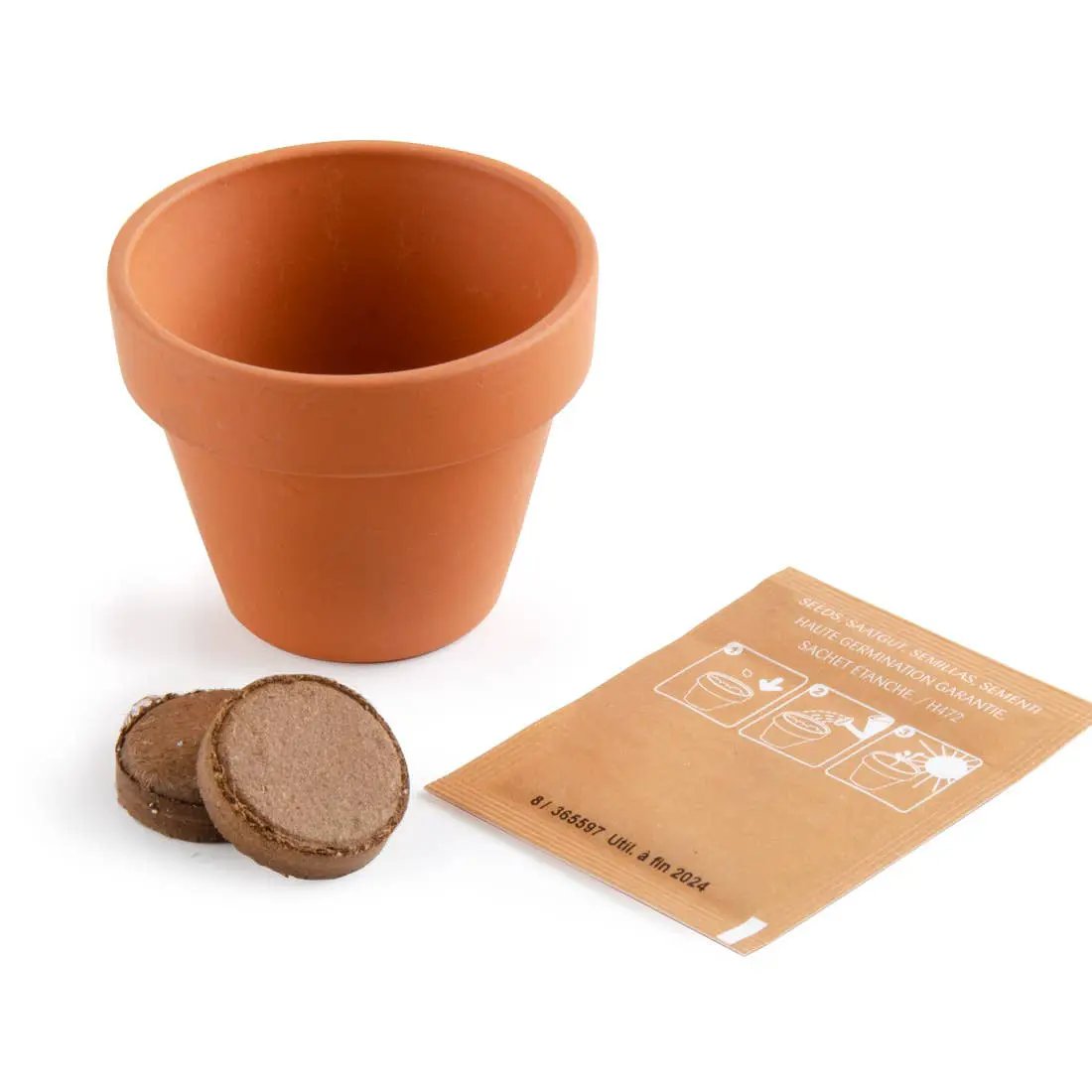 Carte nature Dragon + Piment de Cayenne - Kit créatif de jardinage Enfant by Radis Et Capucine