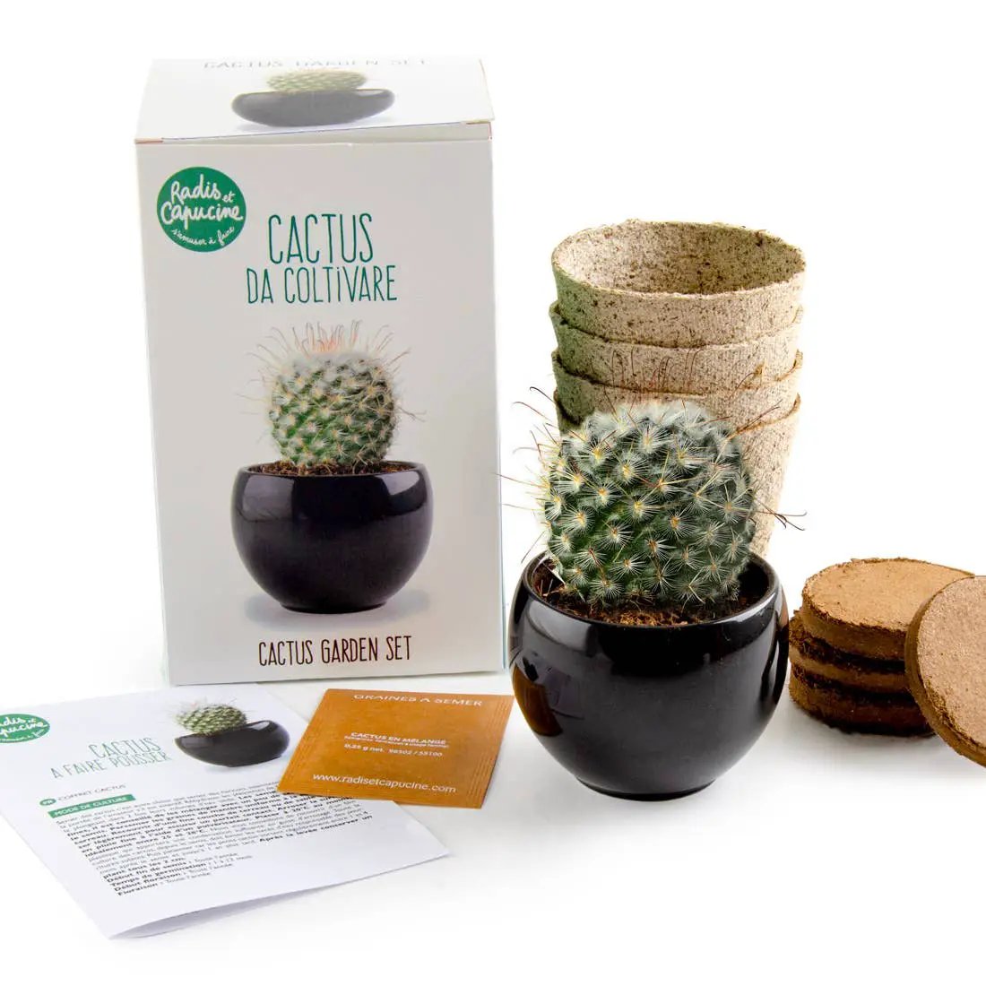 NOUVEAUTE - Kit Cactus à faire pousser - Kit créatif de jardinage Enfant by Radis Et Capucine