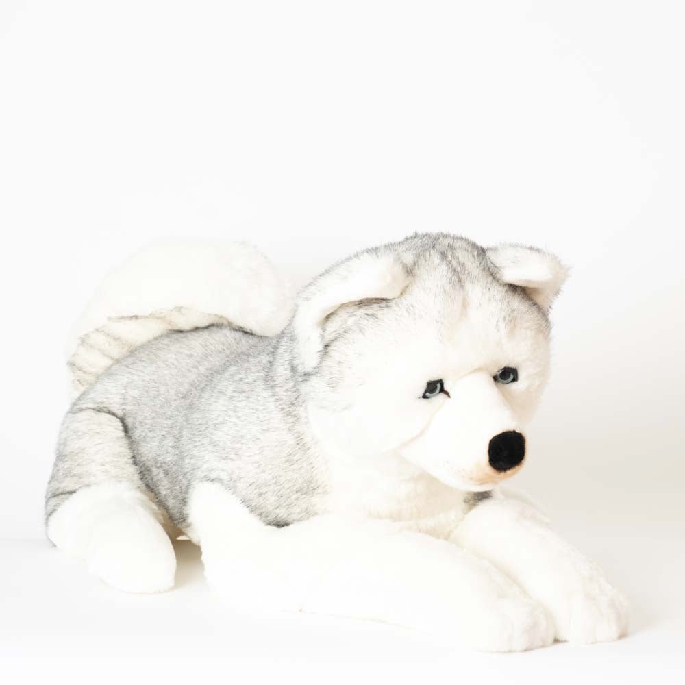 Ma peluche Husky Léonard - La Pelucherie by LA PELUCHERIE