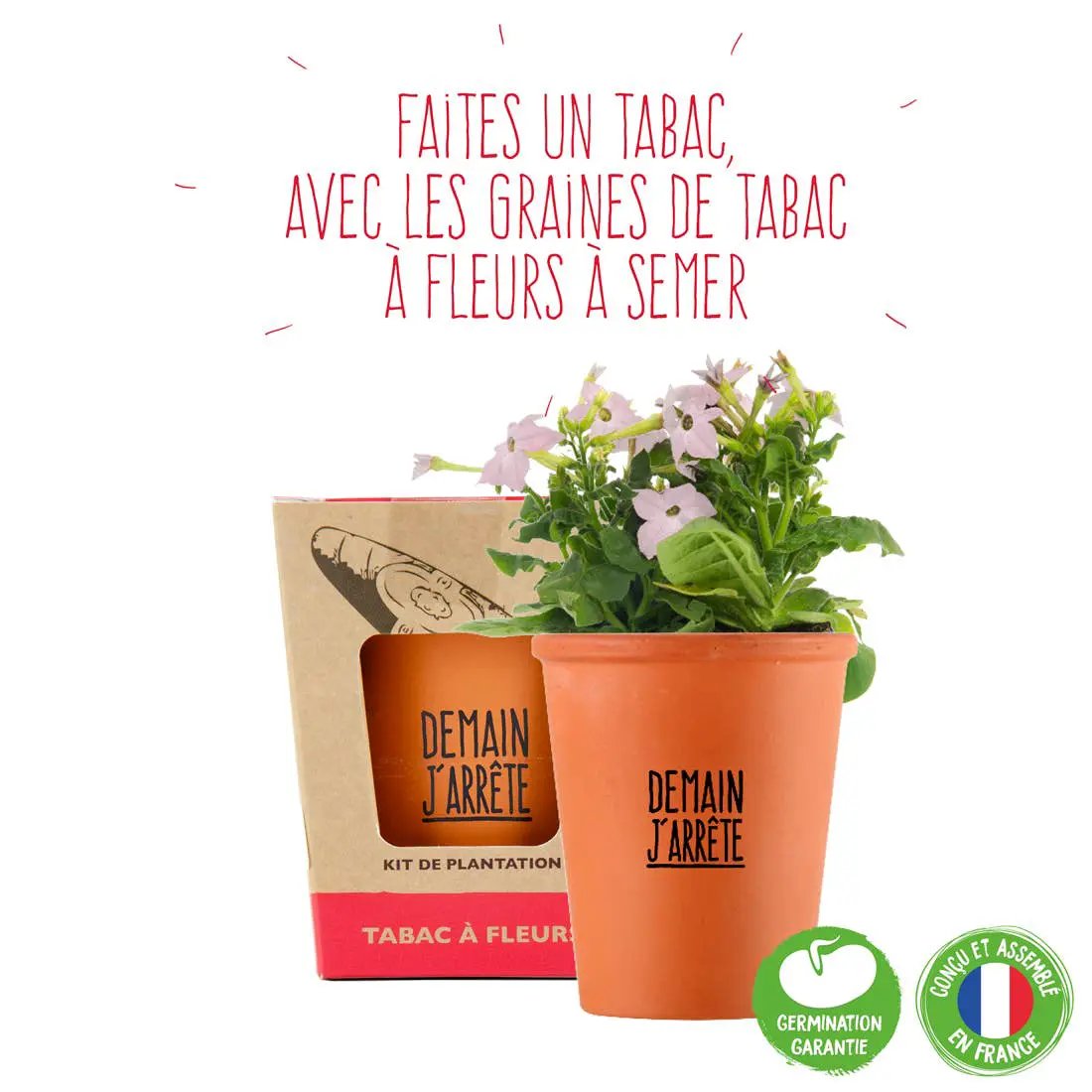 Kit message Demain j'arrête - Tabac de Virginie - Kit créatif de jardinage by Radis Et Capucine