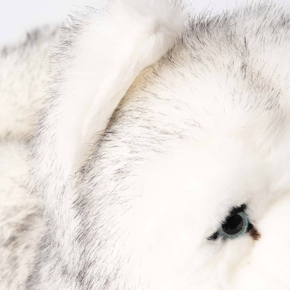 Ma peluche Husky Léonard - La Pelucherie by LA PELUCHERIE