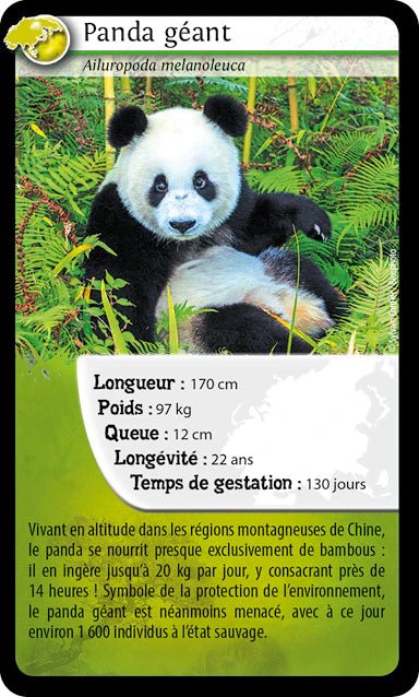 Mako Moulages - Panda Géant - Mako Créations - myplayground