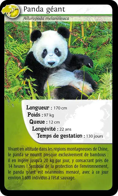 Mako Moulages - Panda Géant - Mako Créations by Mako Créations