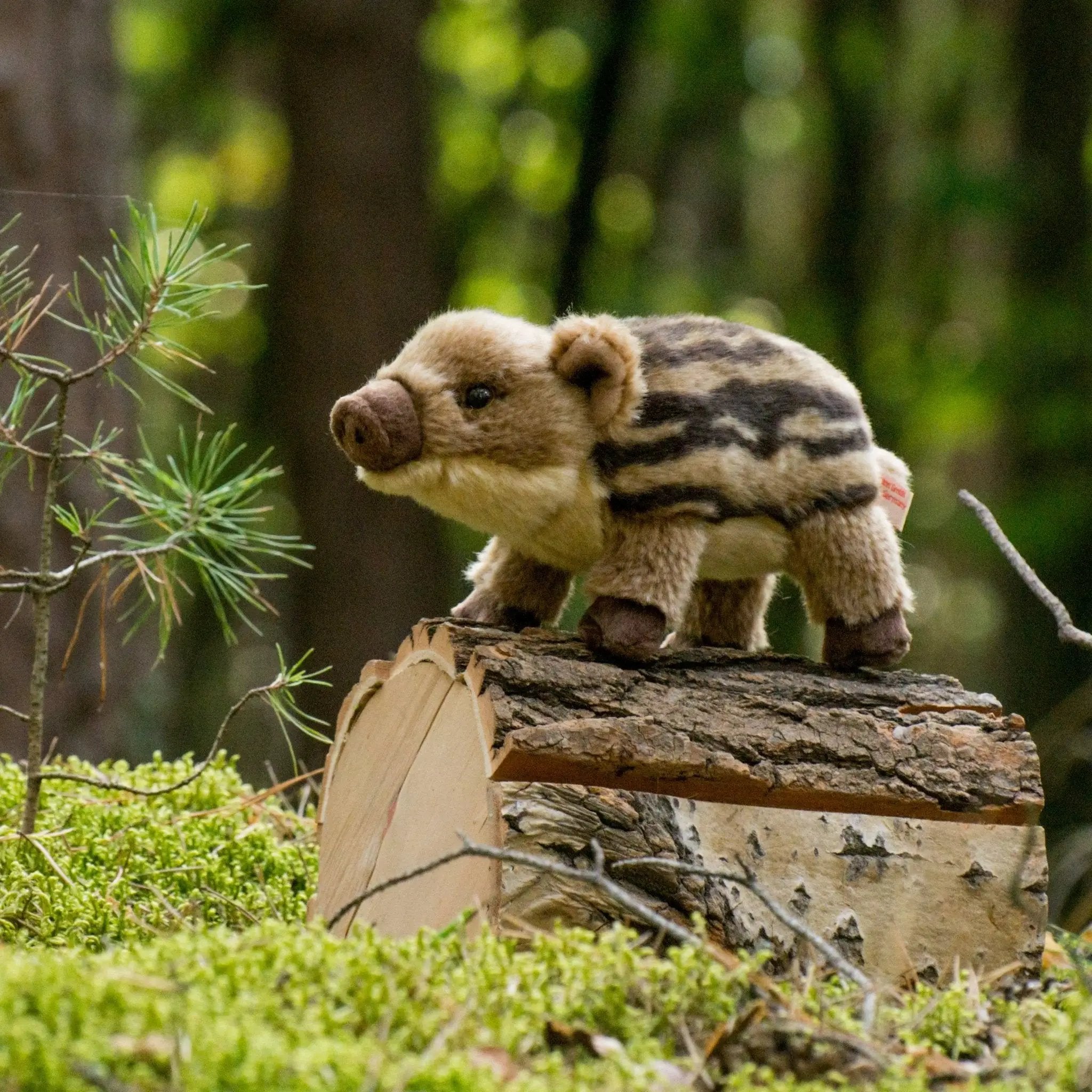 Sanglier débutant 22 cm - peluche - peluche by Teddy Hermann