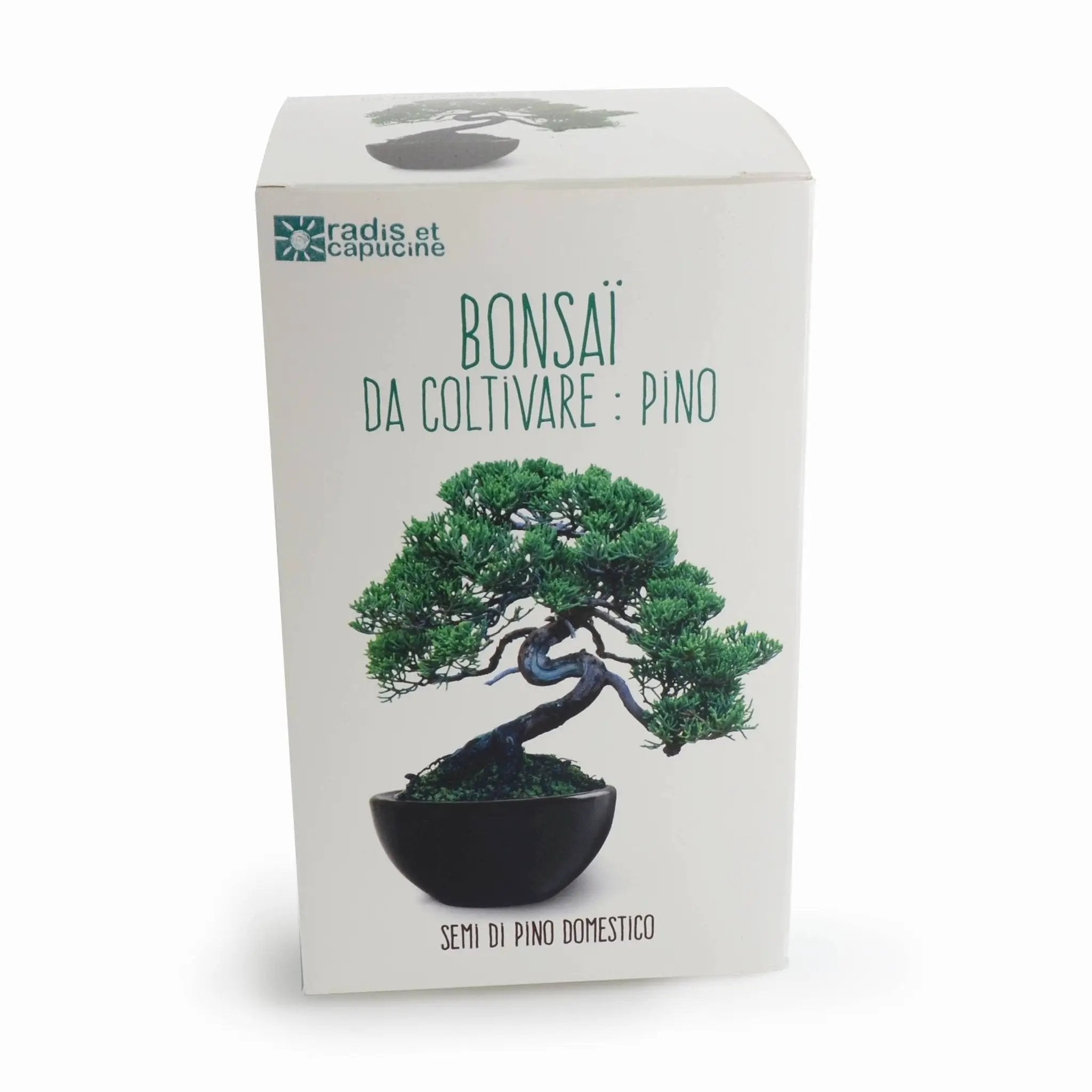 NOUVEAUTE - Kit Bonsaï à faire pousser - Kit créatif de jardinage Enfant by Radis Et Capucine
