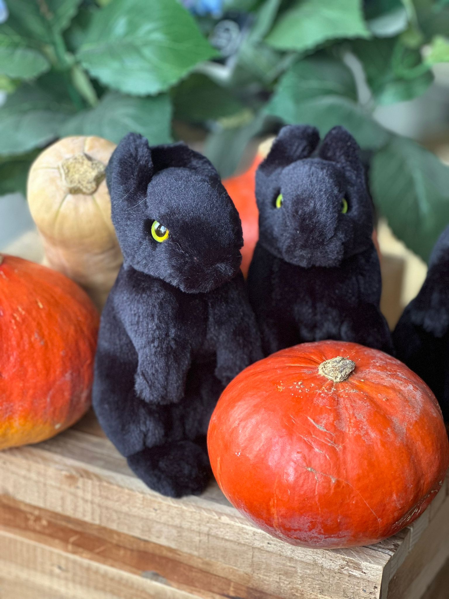 Mon lapin d'Halloween (20 cm) - La Pelucherie - myplayground