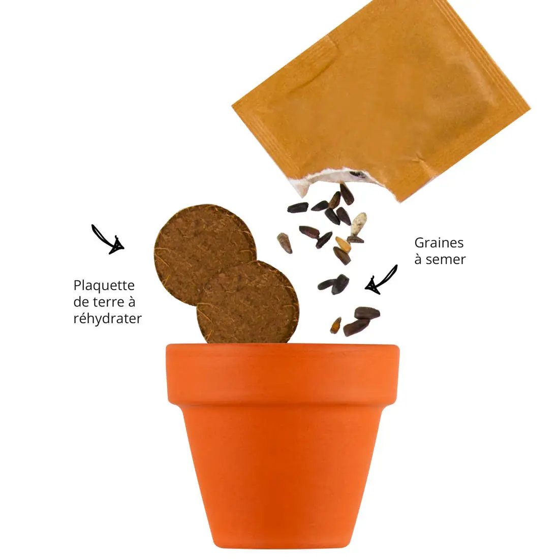 Carte nature Fleurs des abeilles - Kit créatif de jardinage Enfant by Radis Et Capucine