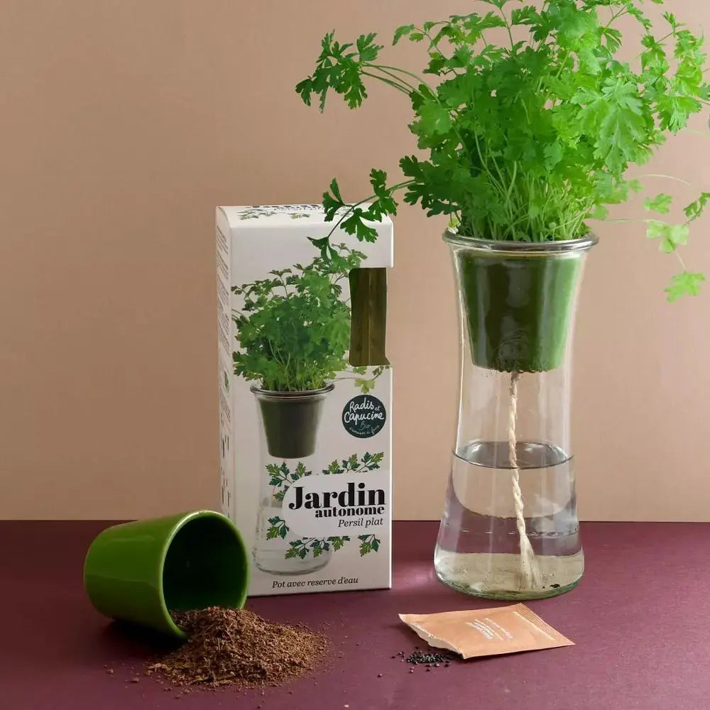 Jardin autonome - Persil Bio - Kit créatif de jardinage Enfant by Radis Et Capucine