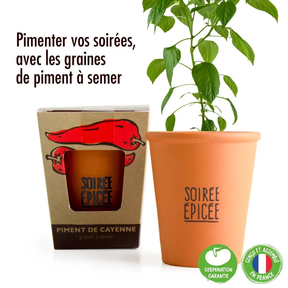 Kit message Soirée Epicée - Piment de Cayenne - Kit créatif de jardinage by Radis Et Capucine