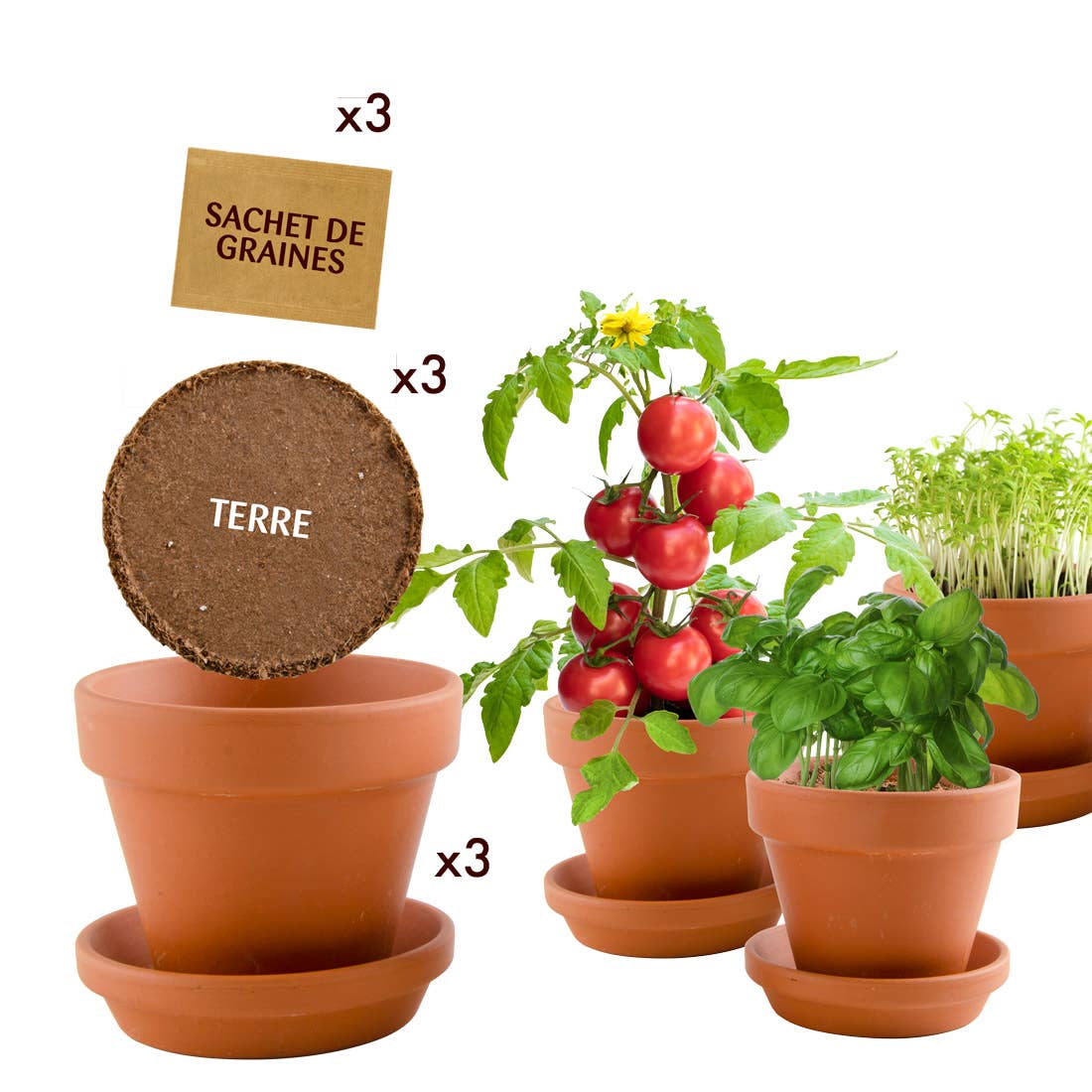 Trio 3 pots plantes gourmandes bio - Kit créatif de jardinage Enfant - myplayground