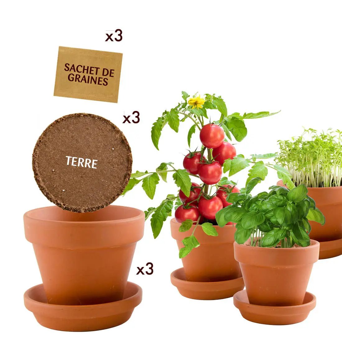 Trio 3 pots plantes gourmandes bio - Kit créatif de jardinage Enfant by Radis Et Capucine