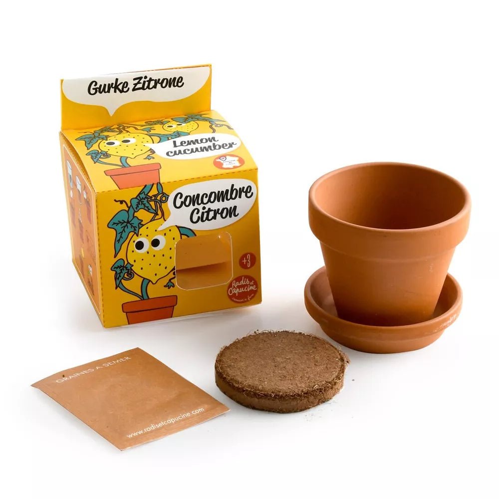 Kit pot terre cuite 8 cm - Concombre citron - Radis et Capucine - myplayground