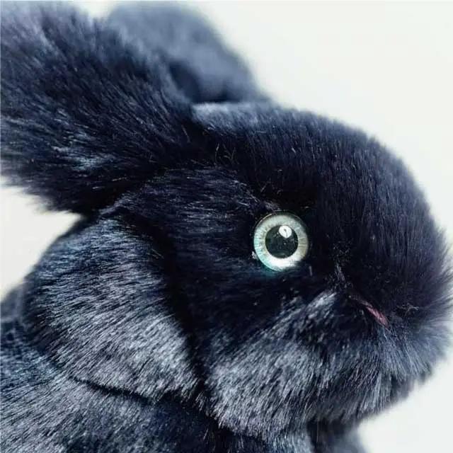 Ma peluche Lapin Léon - La Pelucherie by La Pelucherie