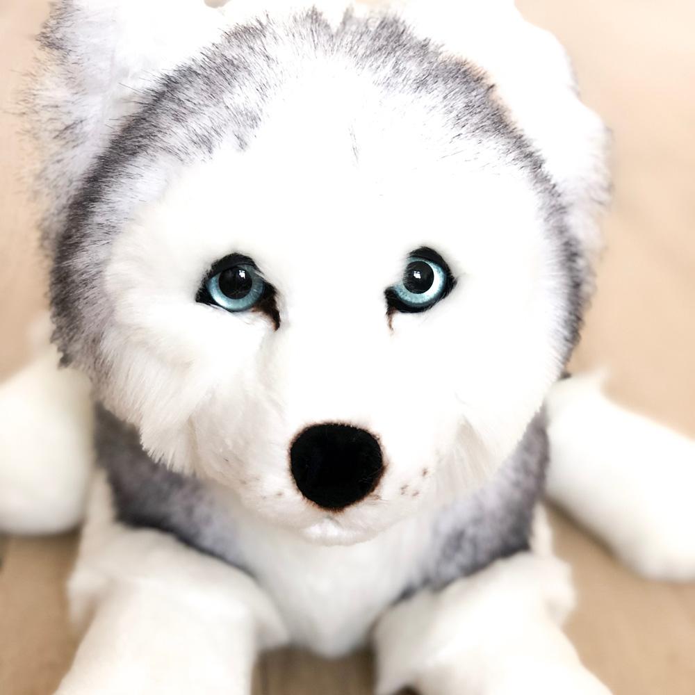 Ma peluche Husky Léonard - La Pelucherie by LA PELUCHERIE